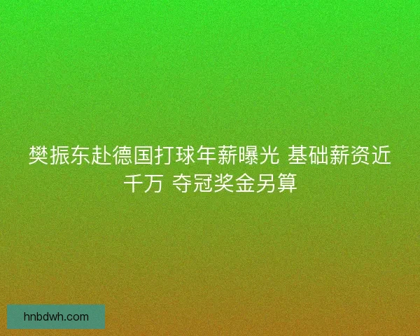 樊振东赴德国打球年薪曝光 基础薪资近千万 夺冠奖金另算