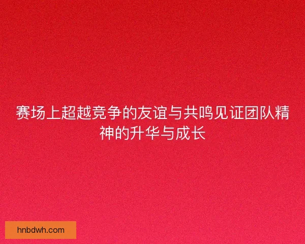 赛场上超越竞争的友谊与共鸣见证团队精神的升华与成长